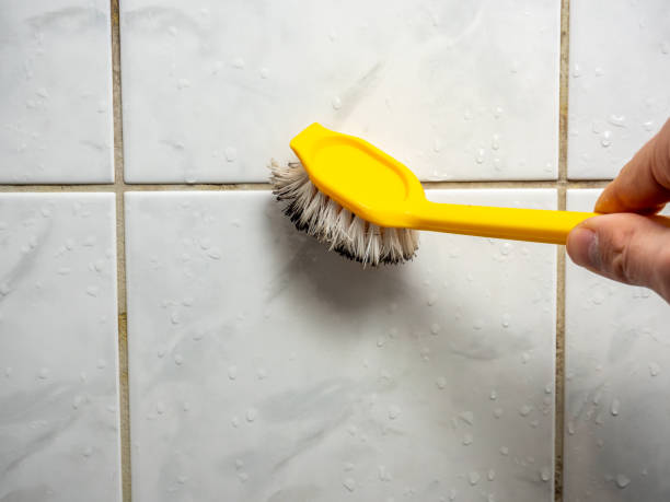 Best Mold Testing  in Lakeview, MI