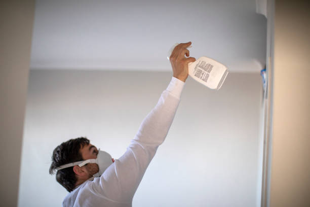 Best Professional Mold Removal  in Lakeview, MI