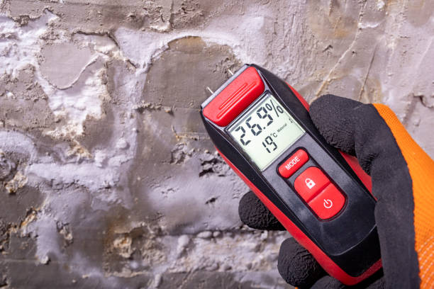 Best Mold Cleaning Services  in Lakeview, MI