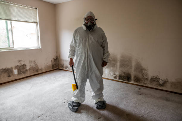 Best Crawl Space Mold Removal  in Lakeview, MI